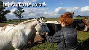 [P43] Ferma Santa Susana » foto by elenaadina
 - 
<span class="allrVoted glyphicon glyphicon-heart hidden" id="av1519400"></span>
<a class="m-l-10 hidden" id="sv1519400" onclick="voting_Foto_DelVot(,1519400,25466)" role="button">șterge vot <span class="glyphicon glyphicon-remove"></span></a>
<a id="v91519400" class=" c-red"  onclick="voting_Foto_SetVot(1519400)" role="button"><span class="glyphicon glyphicon-heart-empty"></span> <b>LIKE</b> = Votează poza</a> <img class="hidden"  id="f1519400W9" src="/imagini/loader.gif" border="0" /><span class="AjErrMes hidden" id="e1519400ErM"></span>