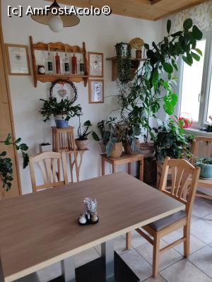 [P03] Gastezimmer Ilse Brauneis, din Mautern an der Donau, Austriasufrageria si sala de mese » foto by Dana2008
 - 
<span class="allrVoted glyphicon glyphicon-heart hidden" id="av1093870"></span>
<a class="m-l-10 hidden" id="sv1093870" onclick="voting_Foto_DelVot(,1093870,25498)" role="button">șterge vot <span class="glyphicon glyphicon-remove"></span></a>
<a id="v91093870" class=" c-red"  onclick="voting_Foto_SetVot(1093870)" role="button"><span class="glyphicon glyphicon-heart-empty"></span> <b>LIKE</b> = Votează poza</a> <img class="hidden"  id="f1093870W9" src="/imagini/loader.gif" border="0" /><span class="AjErrMes hidden" id="e1093870ErM"></span>