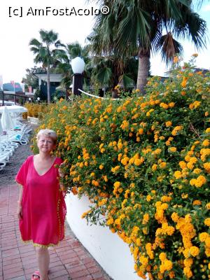 [P05] Flori si palmieri la plaja de la PGS Rose Residence, Kemer.  » foto by heva59
 - 
<span class="allrVoted glyphicon glyphicon-heart hidden" id="av1108107"></span>
<a class="m-l-10 hidden" id="sv1108107" onclick="voting_Foto_DelVot(,1108107,25702)" role="button">șterge vot <span class="glyphicon glyphicon-remove"></span></a>
<a id="v91108107" class=" c-red"  onclick="voting_Foto_SetVot(1108107)" role="button"><span class="glyphicon glyphicon-heart-empty"></span> <b>LIKE</b> = Votează poza</a> <img class="hidden"  id="f1108107W9" src="/imagini/loader.gif" border="0" /><span class="AjErrMes hidden" id="e1108107ErM"></span>