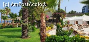 [P05] Vedere spre Beach snack » foto by aandrei2
 - 
<span class="allrVoted glyphicon glyphicon-heart hidden" id="av1320749"></span>
<a class="m-l-10 hidden" id="sv1320749" onclick="voting_Foto_DelVot(,1320749,25702)" role="button">șterge vot <span class="glyphicon glyphicon-remove"></span></a>
<a id="v91320749" class=" c-red"  onclick="voting_Foto_SetVot(1320749)" role="button"><span class="glyphicon glyphicon-heart-empty"></span> <b>LIKE</b> = Votează poza</a> <img class="hidden"  id="f1320749W9" src="/imagini/loader.gif" border="0" /><span class="AjErrMes hidden" id="e1320749ErM"></span>