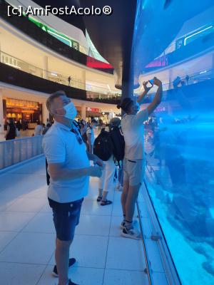 [P28] Acvariu în Mallul din Dubai » foto by gabi-67
 - 
<span class="allrVoted glyphicon glyphicon-heart hidden" id="av1343295"></span>
<a class="m-l-10 hidden" id="sv1343295" onclick="voting_Foto_DelVot(,1343295,25803)" role="button">șterge vot <span class="glyphicon glyphicon-remove"></span></a>
<a id="v91343295" class=" c-red"  onclick="voting_Foto_SetVot(1343295)" role="button"><span class="glyphicon glyphicon-heart-empty"></span> <b>LIKE</b> = Votează poza</a> <img class="hidden"  id="f1343295W9" src="/imagini/loader.gif" border="0" /><span class="AjErrMes hidden" id="e1343295ErM"></span>