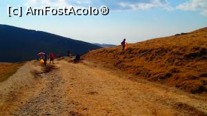 [P03] La treabă...  » foto by Dragoș_MD
 - 
<span class="allrVoted glyphicon glyphicon-heart hidden" id="av1118145"></span>
<a class="m-l-10 hidden" id="sv1118145" onclick="voting_Foto_DelVot(,1118145,25822)" role="button">șterge vot <span class="glyphicon glyphicon-remove"></span></a>
<a id="v91118145" class=" c-red"  onclick="voting_Foto_SetVot(1118145)" role="button"><span class="glyphicon glyphicon-heart-empty"></span> <b>LIKE</b> = Votează poza</a> <img class="hidden"  id="f1118145W9" src="/imagini/loader.gif" border="0" /><span class="AjErrMes hidden" id="e1118145ErM"></span>