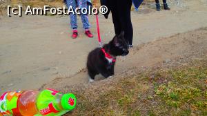 [P07] Un „turist” educat - el nu lasă nicio mizerie în urmă!  » foto by Dragoș_MD
 - 
<span class="allrVoted glyphicon glyphicon-heart hidden" id="av1118149"></span>
<a class="m-l-10 hidden" id="sv1118149" onclick="voting_Foto_DelVot(,1118149,25822)" role="button">șterge vot <span class="glyphicon glyphicon-remove"></span></a>
<a id="v91118149" class=" c-red"  onclick="voting_Foto_SetVot(1118149)" role="button"><span class="glyphicon glyphicon-heart-empty"></span> <b>LIKE</b> = Votează poza</a> <img class="hidden"  id="f1118149W9" src="/imagini/loader.gif" border="0" /><span class="AjErrMes hidden" id="e1118149ErM"></span>