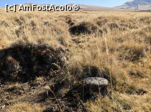 [P12] Poteca noastra prin pasunea alpina » foto by Dan&Ema
 - 
<span class="allrVoted glyphicon glyphicon-heart hidden" id="av1119296"></span>
<a class="m-l-10 hidden" id="sv1119296" onclick="voting_Foto_DelVot(,1119296,25822)" role="button">șterge vot <span class="glyphicon glyphicon-remove"></span></a>
<a id="v91119296" class=" c-red"  onclick="voting_Foto_SetVot(1119296)" role="button"><span class="glyphicon glyphicon-heart-empty"></span> <b>LIKE</b> = Votează poza</a> <img class="hidden"  id="f1119296W9" src="/imagini/loader.gif" border="0" /><span class="AjErrMes hidden" id="e1119296ErM"></span>