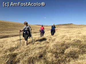 [P14] 3 din cele 4 testoase » foto by Dan&Ema
 - 
<span class="allrVoted glyphicon glyphicon-heart hidden" id="av1119298"></span>
<a class="m-l-10 hidden" id="sv1119298" onclick="voting_Foto_DelVot(,1119298,25822)" role="button">șterge vot <span class="glyphicon glyphicon-remove"></span></a>
<a id="v91119298" class=" c-red"  onclick="voting_Foto_SetVot(1119298)" role="button"><span class="glyphicon glyphicon-heart-empty"></span> <b>LIKE</b> = Votează poza</a> <img class="hidden"  id="f1119298W9" src="/imagini/loader.gif" border="0" /><span class="AjErrMes hidden" id="e1119298ErM"></span>