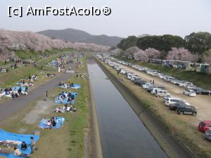 [P02] În Japonia de sărbătoarea cireşilor în floare » foto by Michi
 - 
<span class="allrVoted glyphicon glyphicon-heart hidden" id="av1118247"></span>
<a class="m-l-10 hidden" id="sv1118247" onclick="voting_Foto_DelVot(,1118247,25822)" role="button">șterge vot <span class="glyphicon glyphicon-remove"></span></a>
<a id="v91118247" class=" c-red"  onclick="voting_Foto_SetVot(1118247)" role="button"><span class="glyphicon glyphicon-heart-empty"></span> <b>LIKE</b> = Votează poza</a> <img class="hidden"  id="f1118247W9" src="/imagini/loader.gif" border="0" /><span class="AjErrMes hidden" id="e1118247ErM"></span>