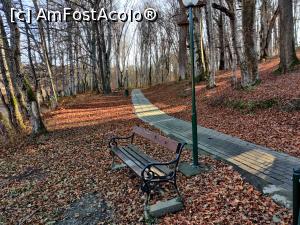 [P01] Lacurile din Sovata, drumeție relaxantă prin labirintul traseelor modern amenajate și bine marcate » foto by Dana2008
 - 
<span class="allrVoted glyphicon glyphicon-heart hidden" id="av1208996"></span>
<a class="m-l-10 hidden" id="sv1208996" onclick="voting_Foto_DelVot(,1208996,25855)" role="button">șterge vot <span class="glyphicon glyphicon-remove"></span></a>
<a id="v91208996" class=" c-red"  onclick="voting_Foto_SetVot(1208996)" role="button"><span class="glyphicon glyphicon-heart-empty"></span> <b>LIKE</b> = Votează poza</a> <img class="hidden"  id="f1208996W9" src="/imagini/loader.gif" border="0" /><span class="AjErrMes hidden" id="e1208996ErM"></span>