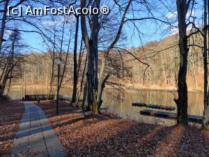 [P12] Lacul Tineretului sau Tivoli Sovata » foto by Dana2008
 - 
<span class="allrVoted glyphicon glyphicon-heart hidden" id="av1209007"></span>
<a class="m-l-10 hidden" id="sv1209007" onclick="voting_Foto_DelVot(,1209007,25855)" role="button">șterge vot <span class="glyphicon glyphicon-remove"></span></a>
<a id="v91209007" class=" c-red"  onclick="voting_Foto_SetVot(1209007)" role="button"><span class="glyphicon glyphicon-heart-empty"></span> <b>LIKE</b> = Votează poza</a> <img class="hidden"  id="f1209007W9" src="/imagini/loader.gif" border="0" /><span class="AjErrMes hidden" id="e1209007ErM"></span>