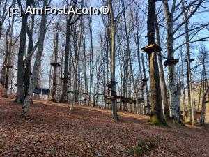 [P13] Paercukl de aventură din Sovata de l&acirc;ngă Lacul Tineretului sau Tivoli Sovata » foto by Dana2008
 - 
<span class="allrVoted glyphicon glyphicon-heart hidden" id="av1209008"></span>
<a class="m-l-10 hidden" id="sv1209008" onclick="voting_Foto_DelVot(,1209008,25855)" role="button">șterge vot <span class="glyphicon glyphicon-remove"></span></a>
<a id="v91209008" class=" c-red"  onclick="voting_Foto_SetVot(1209008)" role="button"><span class="glyphicon glyphicon-heart-empty"></span> <b>LIKE</b> = Votează poza</a> <img class="hidden"  id="f1209008W9" src="/imagini/loader.gif" border="0" /><span class="AjErrMes hidden" id="e1209008ErM"></span>