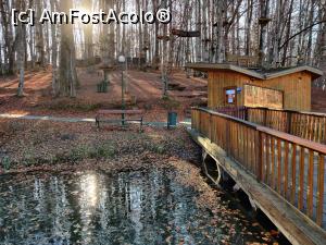 [P15] Lacul Tineretului sau Tivoli Sovata » foto by Dana2008
 - 
<span class="allrVoted glyphicon glyphicon-heart hidden" id="av1209010"></span>
<a class="m-l-10 hidden" id="sv1209010" onclick="voting_Foto_DelVot(,1209010,25855)" role="button">șterge vot <span class="glyphicon glyphicon-remove"></span></a>
<a id="v91209010" class=" c-red"  onclick="voting_Foto_SetVot(1209010)" role="button"><span class="glyphicon glyphicon-heart-empty"></span> <b>LIKE</b> = Votează poza</a> <img class="hidden"  id="f1209010W9" src="/imagini/loader.gif" border="0" /><span class="AjErrMes hidden" id="e1209010ErM"></span>