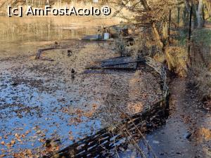 [P02] Lacul Ursu din Sovata, drumeție relaxantă prin labirintul traseelor modern amenajate și bine marcate » foto by Dana2008
 - 
<span class="allrVoted glyphicon glyphicon-heart hidden" id="av1208997"></span>
<a class="m-l-10 hidden" id="sv1208997" onclick="voting_Foto_DelVot(,1208997,25855)" role="button">șterge vot <span class="glyphicon glyphicon-remove"></span></a>
<a id="v91208997" class=" c-red"  onclick="voting_Foto_SetVot(1208997)" role="button"><span class="glyphicon glyphicon-heart-empty"></span> <b>LIKE</b> = Votează poza</a> <img class="hidden"  id="f1208997W9" src="/imagini/loader.gif" border="0" /><span class="AjErrMes hidden" id="e1208997ErM"></span>