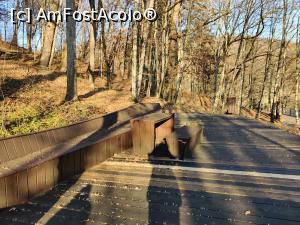 [P21] loc de observare si popas Lacul Ursu din Sovata » foto by Dana2008
 - 
<span class="allrVoted glyphicon glyphicon-heart hidden" id="av1209016"></span>
<a class="m-l-10 hidden" id="sv1209016" onclick="voting_Foto_DelVot(,1209016,25855)" role="button">șterge vot <span class="glyphicon glyphicon-remove"></span></a>
<a id="v91209016" class=" c-red"  onclick="voting_Foto_SetVot(1209016)" role="button"><span class="glyphicon glyphicon-heart-empty"></span> <b>LIKE</b> = Votează poza</a> <img class="hidden"  id="f1209016W9" src="/imagini/loader.gif" border="0" /><span class="AjErrMes hidden" id="e1209016ErM"></span>