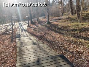 [P23] Trasee din Sovata » foto by Dana2008
 - 
<span class="allrVoted glyphicon glyphicon-heart hidden" id="av1209018"></span>
<a class="m-l-10 hidden" id="sv1209018" onclick="voting_Foto_DelVot(,1209018,25855)" role="button">șterge vot <span class="glyphicon glyphicon-remove"></span></a>
<a id="v91209018" class=" c-red"  onclick="voting_Foto_SetVot(1209018)" role="button"><span class="glyphicon glyphicon-heart-empty"></span> <b>LIKE</b> = Votează poza</a> <img class="hidden"  id="f1209018W9" src="/imagini/loader.gif" border="0" /><span class="AjErrMes hidden" id="e1209018ErM"></span>