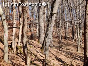 [P26] trasee din Sovata » foto by Dana2008
 - 
<span class="allrVoted glyphicon glyphicon-heart hidden" id="av1209021"></span>
<a class="m-l-10 hidden" id="sv1209021" onclick="voting_Foto_DelVot(,1209021,25855)" role="button">șterge vot <span class="glyphicon glyphicon-remove"></span></a>
<a id="v91209021" class=" c-red"  onclick="voting_Foto_SetVot(1209021)" role="button"><span class="glyphicon glyphicon-heart-empty"></span> <b>LIKE</b> = Votează poza</a> <img class="hidden"  id="f1209021W9" src="/imagini/loader.gif" border="0" /><span class="AjErrMes hidden" id="e1209021ErM"></span>