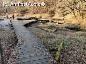 [P28] Traseul eco didactic al sării, Sovata, mlastinile si paraul sarat » foto by Dana2008
 - 
<span class="allrVoted glyphicon glyphicon-heart hidden" id="av1209023"></span>
<a class="m-l-10 hidden" id="sv1209023" onclick="voting_Foto_DelVot(,1209023,25855)" role="button">șterge vot <span class="glyphicon glyphicon-remove"></span></a>
<a id="v91209023" class=" c-red"  onclick="voting_Foto_SetVot(1209023)" role="button"><span class="glyphicon glyphicon-heart-empty"></span> <b>LIKE</b> = Votează poza</a> <img class="hidden"  id="f1209023W9" src="/imagini/loader.gif" border="0" /><span class="AjErrMes hidden" id="e1209023ErM"></span>