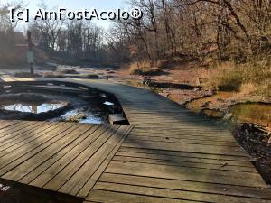 [P31] Traseul eco didactic al sării, Sovata, mlastinile si paraul sarat » foto by Dana2008
 - 
<span class="allrVoted glyphicon glyphicon-heart hidden" id="av1209026"></span>
<a class="m-l-10 hidden" id="sv1209026" onclick="voting_Foto_DelVot(,1209026,25855)" role="button">șterge vot <span class="glyphicon glyphicon-remove"></span></a>
<a id="v91209026" class=" c-red"  onclick="voting_Foto_SetVot(1209026)" role="button"><span class="glyphicon glyphicon-heart-empty"></span> <b>LIKE</b> = Votează poza</a> <img class="hidden"  id="f1209026W9" src="/imagini/loader.gif" border="0" /><span class="AjErrMes hidden" id="e1209026ErM"></span>