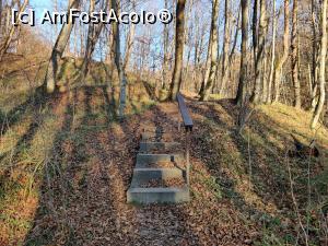 [P32] trasee din Sovata » foto by Dana2008
 - 
<span class="allrVoted glyphicon glyphicon-heart hidden" id="av1209027"></span>
<a class="m-l-10 hidden" id="sv1209027" onclick="voting_Foto_DelVot(,1209027,25855)" role="button">șterge vot <span class="glyphicon glyphicon-remove"></span></a>
<a id="v91209027" class=" c-red"  onclick="voting_Foto_SetVot(1209027)" role="button"><span class="glyphicon glyphicon-heart-empty"></span> <b>LIKE</b> = Votează poza</a> <img class="hidden"  id="f1209027W9" src="/imagini/loader.gif" border="0" /><span class="AjErrMes hidden" id="e1209027ErM"></span>