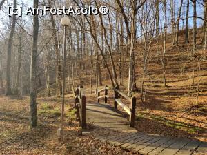 [P36] trasee din Sovata » foto by Dana2008
 - 
<span class="allrVoted glyphicon glyphicon-heart hidden" id="av1209031"></span>
<a class="m-l-10 hidden" id="sv1209031" onclick="voting_Foto_DelVot(,1209031,25855)" role="button">șterge vot <span class="glyphicon glyphicon-remove"></span></a>
<a id="v91209031" class=" c-red"  onclick="voting_Foto_SetVot(1209031)" role="button"><span class="glyphicon glyphicon-heart-empty"></span> <b>LIKE</b> = Votează poza</a> <img class="hidden"  id="f1209031W9" src="/imagini/loader.gif" border="0" /><span class="AjErrMes hidden" id="e1209031ErM"></span>