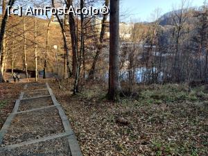 [P37] Lacul Ursu din Sovata » foto by Dana2008
 - 
<span class="allrVoted glyphicon glyphicon-heart hidden" id="av1209032"></span>
<a class="m-l-10 hidden" id="sv1209032" onclick="voting_Foto_DelVot(,1209032,25855)" role="button">șterge vot <span class="glyphicon glyphicon-remove"></span></a>
<a id="v91209032" class=" c-red"  onclick="voting_Foto_SetVot(1209032)" role="button"><span class="glyphicon glyphicon-heart-empty"></span> <b>LIKE</b> = Votează poza</a> <img class="hidden"  id="f1209032W9" src="/imagini/loader.gif" border="0" /><span class="AjErrMes hidden" id="e1209032ErM"></span>