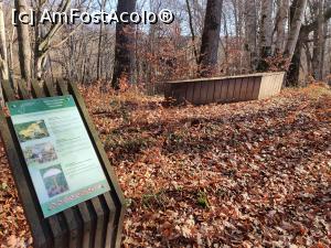 [P06] Lacurile din Sovata, drumeție relaxantă prin labirintul traseelor modern amenajate și bine marcate » foto by Dana2008
 - 
<span class="allrVoted glyphicon glyphicon-heart hidden" id="av1209001"></span>
<a class="m-l-10 hidden" id="sv1209001" onclick="voting_Foto_DelVot(,1209001,25855)" role="button">șterge vot <span class="glyphicon glyphicon-remove"></span></a>
<a id="v91209001" class=" c-red"  onclick="voting_Foto_SetVot(1209001)" role="button"><span class="glyphicon glyphicon-heart-empty"></span> <b>LIKE</b> = Votează poza</a> <img class="hidden"  id="f1209001W9" src="/imagini/loader.gif" border="0" /><span class="AjErrMes hidden" id="e1209001ErM"></span>