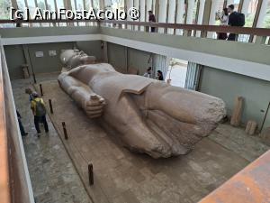 [P02] Memphis, Muzeul Mit Rahina, colosala Statuie a lui Ramses al II-lea » foto by mprofeanu
 - 
<span class="allrVoted glyphicon glyphicon-heart hidden" id="av1525984"></span>
<a class="m-l-10 hidden" id="sv1525984" onclick="voting_Foto_DelVot(,1525984,25858)" role="button">șterge vot <span class="glyphicon glyphicon-remove"></span></a>
<a id="v91525984" class=" c-red"  onclick="voting_Foto_SetVot(1525984)" role="button"><span class="glyphicon glyphicon-heart-empty"></span> <b>LIKE</b> = Votează poza</a> <img class="hidden"  id="f1525984W9" src="/imagini/loader.gif" border="0" /><span class="AjErrMes hidden" id="e1525984ErM"></span>