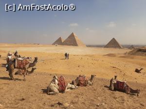 [P03] Piramidele de la Giza » foto by adso
 - 
<span class="allrVoted glyphicon glyphicon-heart hidden" id="av1417019"></span>
<a class="m-l-10 hidden" id="sv1417019" onclick="voting_Foto_DelVot(,1417019,25858)" role="button">șterge vot <span class="glyphicon glyphicon-remove"></span></a>
<a id="v91417019" class=" c-red"  onclick="voting_Foto_SetVot(1417019)" role="button"><span class="glyphicon glyphicon-heart-empty"></span> <b>LIKE</b> = Votează poza</a> <img class="hidden"  id="f1417019W9" src="/imagini/loader.gif" border="0" /><span class="AjErrMes hidden" id="e1417019ErM"></span>
