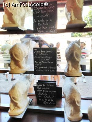 [P12] Le Comptoir de Georges: purcelușii din vitrină » foto by Carmen Ion
 - 
<span class="allrVoted glyphicon glyphicon-heart hidden" id="av1127172"></span>
<a class="m-l-10 hidden" id="sv1127172" onclick="voting_Foto_DelVot(,1127172,25922)" role="button">șterge vot <span class="glyphicon glyphicon-remove"></span></a>
<a id="v91127172" class=" c-red"  onclick="voting_Foto_SetVot(1127172)" role="button"><span class="glyphicon glyphicon-heart-empty"></span> <b>LIKE</b> = Votează poza</a> <img class="hidden"  id="f1127172W9" src="/imagini/loader.gif" border="0" /><span class="AjErrMes hidden" id="e1127172ErM"></span>