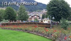 [P09] Multe flori îmbogățesc spațiile din Molveno » foto by BOGDAN DSN
 - 
<span class="allrVoted glyphicon glyphicon-heart hidden" id="av1127354"></span>
<a class="m-l-10 hidden" id="sv1127354" onclick="voting_Foto_DelVot(,1127354,25925)" role="button">șterge vot <span class="glyphicon glyphicon-remove"></span></a>
<a id="v91127354" class=" c-red"  onclick="voting_Foto_SetVot(1127354)" role="button"><span class="glyphicon glyphicon-heart-empty"></span> <b>LIKE</b> = Votează poza</a> <img class="hidden"  id="f1127354W9" src="/imagini/loader.gif" border="0" /><span class="AjErrMes hidden" id="e1127354ErM"></span>
