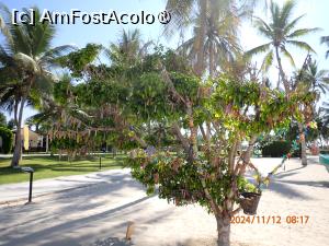 [P28] Fanar Hotel & Residences - copacul cu dorinţe » foto by nicole33
 - 
<span class="allrVoted glyphicon glyphicon-heart hidden" id="av1470876"></span>
<a class="m-l-10 hidden" id="sv1470876" onclick="voting_Foto_DelVot(,1470876,25939)" role="button">șterge vot <span class="glyphicon glyphicon-remove"></span></a>
<a id="v91470876" class=" c-red"  onclick="voting_Foto_SetVot(1470876)" role="button"><span class="glyphicon glyphicon-heart-empty"></span> <b>LIKE</b> = Votează poza</a> <img class="hidden"  id="f1470876W9" src="/imagini/loader.gif" border="0" /><span class="AjErrMes hidden" id="e1470876ErM"></span>