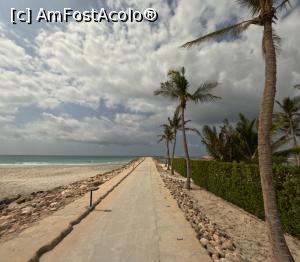 [P31]  -- <small>// FĂRĂ DESCRIERE</small> » foto by elenaadina
 - 
<span class="allrVoted glyphicon glyphicon-heart hidden" id="av1373555"></span>
<a class="m-l-10 hidden" id="sv1373555" onclick="voting_Foto_DelVot(,1373555,25939)" role="button">șterge vot <span class="glyphicon glyphicon-remove"></span></a>
<a id="v91373555" class=" c-red"  onclick="voting_Foto_SetVot(1373555)" role="button"><span class="glyphicon glyphicon-heart-empty"></span> <b>LIKE</b> = Votează poza</a> <img class="hidden"  id="f1373555W9" src="/imagini/loader.gif" border="0" /><span class="AjErrMes hidden" id="e1373555ErM"></span>