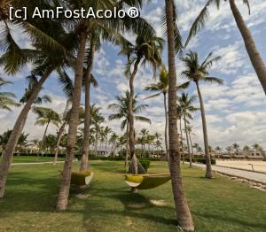 [P32]  -- <small>// FĂRĂ DESCRIERE</small> » foto by elenaadina
 - 
<span class="allrVoted glyphicon glyphicon-heart hidden" id="av1373556"></span>
<a class="m-l-10 hidden" id="sv1373556" onclick="voting_Foto_DelVot(,1373556,25939)" role="button">șterge vot <span class="glyphicon glyphicon-remove"></span></a>
<a id="v91373556" class=" c-red"  onclick="voting_Foto_SetVot(1373556)" role="button"><span class="glyphicon glyphicon-heart-empty"></span> <b>LIKE</b> = Votează poza</a> <img class="hidden"  id="f1373556W9" src="/imagini/loader.gif" border="0" /><span class="AjErrMes hidden" id="e1373556ErM"></span>