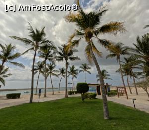 [P35]  -- <small>// FĂRĂ DESCRIERE</small> » foto by elenaadina
 - 
<span class="allrVoted glyphicon glyphicon-heart hidden" id="av1373559"></span>
<a class="m-l-10 hidden" id="sv1373559" onclick="voting_Foto_DelVot(,1373559,25939)" role="button">șterge vot <span class="glyphicon glyphicon-remove"></span></a>
<a id="v91373559" class=" c-red"  onclick="voting_Foto_SetVot(1373559)" role="button"><span class="glyphicon glyphicon-heart-empty"></span> <b>LIKE</b> = Votează poza</a> <img class="hidden"  id="f1373559W9" src="/imagini/loader.gif" border="0" /><span class="AjErrMes hidden" id="e1373559ErM"></span>