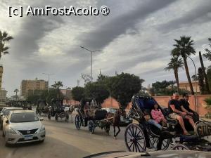 [P06] Străzile Luxorului » foto by adso
 - 
<span class="allrVoted glyphicon glyphicon-heart hidden" id="av1511423"></span>
<a class="m-l-10 hidden" id="sv1511423" onclick="voting_Foto_DelVot(,1511423,25941)" role="button">șterge vot <span class="glyphicon glyphicon-remove"></span></a>
<a id="v91511423" class=" c-red"  onclick="voting_Foto_SetVot(1511423)" role="button"><span class="glyphicon glyphicon-heart-empty"></span> <b>LIKE</b> = Votează poza</a> <img class="hidden"  id="f1511423W9" src="/imagini/loader.gif" border="0" /><span class="AjErrMes hidden" id="e1511423ErM"></span>