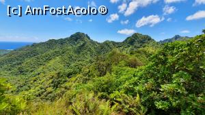 [P14] Rarotonga de sus (The Nedle)  » foto by C@t@
 - 
<span class="allrVoted glyphicon glyphicon-heart hidden" id="av1133446"></span>
<a class="m-l-10 hidden" id="sv1133446" onclick="voting_Foto_DelVot(,1133446,25994)" role="button">șterge vot <span class="glyphicon glyphicon-remove"></span></a>
<a id="v91133446" class=" c-red"  onclick="voting_Foto_SetVot(1133446)" role="button"><span class="glyphicon glyphicon-heart-empty"></span> <b>LIKE</b> = Votează poza</a> <img class="hidden"  id="f1133446W9" src="/imagini/loader.gif" border="0" /><span class="AjErrMes hidden" id="e1133446ErM"></span>