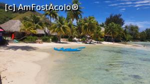 [P18] Plaja Moorea sunset Beach » foto by C@t@
 - 
<span class="allrVoted glyphicon glyphicon-heart hidden" id="av1133455"></span>
<a class="m-l-10 hidden" id="sv1133455" onclick="voting_Foto_DelVot(,1133455,25994)" role="button">șterge vot <span class="glyphicon glyphicon-remove"></span></a>
<a id="v91133455" class=" c-red"  onclick="voting_Foto_SetVot(1133455)" role="button"><span class="glyphicon glyphicon-heart-empty"></span> <b>LIKE</b> = Votează poza</a> <img class="hidden"  id="f1133455W9" src="/imagini/loader.gif" border="0" /><span class="AjErrMes hidden" id="e1133455ErM"></span>