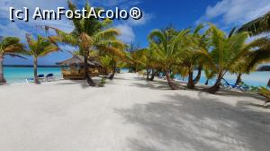 [P04] Aitutaki Lagoon Private island » foto by C@t@
 - 
<span class="allrVoted glyphicon glyphicon-heart hidden" id="av1133406"></span>
<a class="m-l-10 hidden" id="sv1133406" onclick="voting_Foto_DelVot(,1133406,25994)" role="button">șterge vot <span class="glyphicon glyphicon-remove"></span></a>
<a id="v91133406" class=" c-red"  onclick="voting_Foto_SetVot(1133406)" role="button"><span class="glyphicon glyphicon-heart-empty"></span> <b>LIKE</b> = Votează poza</a> <img class="hidden"  id="f1133406W9" src="/imagini/loader.gif" border="0" /><span class="AjErrMes hidden" id="e1133406ErM"></span>