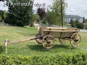 [P18] Taverna Stejarul din Oveselu.  » foto by Floria
 - 
<span class="allrVoted glyphicon glyphicon-heart hidden" id="av1497641"></span>
<a class="m-l-10 hidden" id="sv1497641" onclick="voting_Foto_DelVot(,1497641,26016)" role="button">șterge vot <span class="glyphicon glyphicon-remove"></span></a>
<a id="v91497641" class=" c-red"  onclick="voting_Foto_SetVot(1497641)" role="button"><span class="glyphicon glyphicon-heart-empty"></span> <b>LIKE</b> = Votează poza</a> <img class="hidden"  id="f1497641W9" src="/imagini/loader.gif" border="0" /><span class="AjErrMes hidden" id="e1497641ErM"></span>