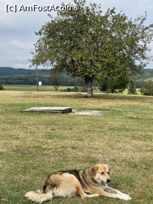 [P19] Tavera Stejarul din Oveselu. La plimbare prin sat...  » foto by Floria
 - 
<span class="allrVoted glyphicon glyphicon-heart hidden" id="av1497642"></span>
<a class="m-l-10 hidden" id="sv1497642" onclick="voting_Foto_DelVot(,1497642,26016)" role="button">șterge vot <span class="glyphicon glyphicon-remove"></span></a>
<a id="v91497642" class=" c-red"  onclick="voting_Foto_SetVot(1497642)" role="button"><span class="glyphicon glyphicon-heart-empty"></span> <b>LIKE</b> = Votează poza</a> <img class="hidden"  id="f1497642W9" src="/imagini/loader.gif" border="0" /><span class="AjErrMes hidden" id="e1497642ErM"></span>