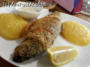 [P05] Taverna Stejarul din Oveselu. Păstrăv prăjit cu mămăliguță și mujdei de usturoi.  » foto by Floria
 - 
<span class="allrVoted glyphicon glyphicon-heart hidden" id="av1497628"></span>
<a class="m-l-10 hidden" id="sv1497628" onclick="voting_Foto_DelVot(,1497628,26016)" role="button">șterge vot <span class="glyphicon glyphicon-remove"></span></a>
<a id="v91497628" class=" c-red"  onclick="voting_Foto_SetVot(1497628)" role="button"><span class="glyphicon glyphicon-heart-empty"></span> <b>LIKE</b> = Votează poza</a> <img class="hidden"  id="f1497628W9" src="/imagini/loader.gif" border="0" /><span class="AjErrMes hidden" id="e1497628ErM"></span>