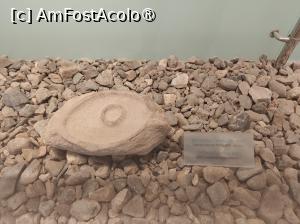 [P16] Altar descoperit într-una din locuințe. » foto by tata123 🔱
 - 
<span class="allrVoted glyphicon glyphicon-heart hidden" id="av1546872"></span>
<a class="m-l-10 hidden" id="sv1546872" onclick="voting_Foto_DelVot(,1546872,26057)" role="button">șterge vot <span class="glyphicon glyphicon-remove"></span></a>
<a id="v91546872" class=" c-red"  onclick="voting_Foto_SetVot(1546872)" role="button"><span class="glyphicon glyphicon-heart-empty"></span> <b>LIKE</b> = Votează poza</a> <img class="hidden"  id="f1546872W9" src="/imagini/loader.gif" border="0" /><span class="AjErrMes hidden" id="e1546872ErM"></span>