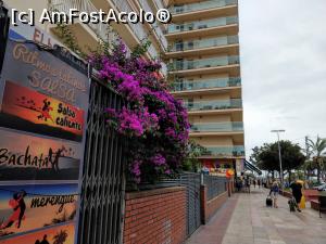 [P01] La plimbare pe Passeig Maritim.  » foto by maryka
 - 
<span class="allrVoted glyphicon glyphicon-heart hidden" id="av1141571"></span>
<a class="m-l-10 hidden" id="sv1141571" onclick="voting_Foto_DelVot(,1141571,26093)" role="button">șterge vot <span class="glyphicon glyphicon-remove"></span></a>
<a id="v91141571" class=" c-red"  onclick="voting_Foto_SetVot(1141571)" role="button"><span class="glyphicon glyphicon-heart-empty"></span> <b>LIKE</b> = Votează poza</a> <img class="hidden"  id="f1141571W9" src="/imagini/loader.gif" border="0" /><span class="AjErrMes hidden" id="e1141571ErM"></span>