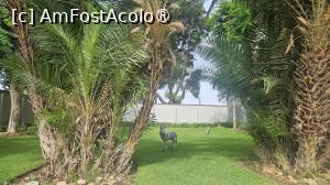 [P04] prin grădina hotelului » foto by robert
 - 
<span class="allrVoted glyphicon glyphicon-heart hidden" id="av1513858"></span>
<a class="m-l-10 hidden" id="sv1513858" onclick="voting_Foto_DelVot(,1513858,26101)" role="button">șterge vot <span class="glyphicon glyphicon-remove"></span></a>
<a id="v91513858" class=" c-red"  onclick="voting_Foto_SetVot(1513858)" role="button"><span class="glyphicon glyphicon-heart-empty"></span> <b>LIKE</b> = Votează poza</a> <img class="hidden"  id="f1513858W9" src="/imagini/loader.gif" border="0" /><span class="AjErrMes hidden" id="e1513858ErM"></span>