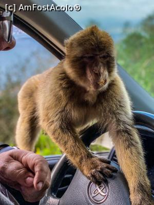 [P09]  -- <small>// FĂRĂ DESCRIERE</small> » foto by viorelgeorgescu
 - 
<span class="allrVoted glyphicon glyphicon-heart hidden" id="av1151008"></span>
<a class="m-l-10 hidden" id="sv1151008" onclick="voting_Foto_DelVot(,1151008,26222)" role="button">șterge vot <span class="glyphicon glyphicon-remove"></span></a>
<a id="v91151008" class=" c-red"  onclick="voting_Foto_SetVot(1151008)" role="button"><span class="glyphicon glyphicon-heart-empty"></span> <b>LIKE</b> = Votează poza</a> <img class="hidden"  id="f1151008W9" src="/imagini/loader.gif" border="0" /><span class="AjErrMes hidden" id="e1151008ErM"></span>