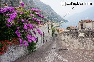 [P08] Râuri de piatră curg domol către apă.  » foto by GIN2015*
 - 
<span class="allrVoted glyphicon glyphicon-heart hidden" id="av646803"></span>
<a class="m-l-10 hidden" id="sv646803" onclick="voting_Foto_DelVot(,646803,26248)" role="button">șterge vot <span class="glyphicon glyphicon-remove"></span></a>
<a id="v9646803" class=" c-red"  onclick="voting_Foto_SetVot(646803)" role="button"><span class="glyphicon glyphicon-heart-empty"></span> <b>LIKE</b> = Votează poza</a> <img class="hidden"  id="f646803W9" src="/imagini/loader.gif" border="0" /><span class="AjErrMes hidden" id="e646803ErM"></span>