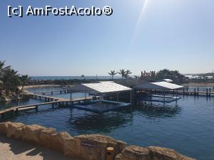 [P20] aici am interacționat cu delfinii » foto by robert
 - 
<span class="allrVoted glyphicon glyphicon-heart hidden" id="av1154447"></span>
<a class="m-l-10 hidden" id="sv1154447" onclick="voting_Foto_DelVot(,1154447,26249)" role="button">șterge vot <span class="glyphicon glyphicon-remove"></span></a>
<a id="v91154447" class=" c-red"  onclick="voting_Foto_SetVot(1154447)" role="button"><span class="glyphicon glyphicon-heart-empty"></span> <b>LIKE</b> = Votează poza</a> <img class="hidden"  id="f1154447W9" src="/imagini/loader.gif" border="0" /><span class="AjErrMes hidden" id="e1154447ErM"></span>