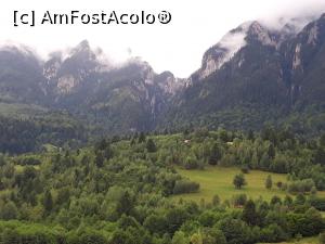 [P11] No comment » foto by nightwish
 - 
<span class="allrVoted glyphicon glyphicon-heart hidden" id="av1154665"></span>
<a class="m-l-10 hidden" id="sv1154665" onclick="voting_Foto_DelVot(,1154665,26250)" role="button">șterge vot <span class="glyphicon glyphicon-remove"></span></a>
<a id="v91154665" class=" c-red"  onclick="voting_Foto_SetVot(1154665)" role="button"><span class="glyphicon glyphicon-heart-empty"></span> <b>LIKE</b> = Votează poza</a> <img class="hidden"  id="f1154665W9" src="/imagini/loader.gif" border="0" /><span class="AjErrMes hidden" id="e1154665ErM"></span>