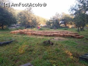 [P16] Balotii de paie folositi de spectatorii cinematografului » foto by nightwish
 - 
<span class="allrVoted glyphicon glyphicon-heart hidden" id="av1154670"></span>
<a class="m-l-10 hidden" id="sv1154670" onclick="voting_Foto_DelVot(,1154670,26250)" role="button">șterge vot <span class="glyphicon glyphicon-remove"></span></a>
<a id="v91154670" class=" c-red"  onclick="voting_Foto_SetVot(1154670)" role="button"><span class="glyphicon glyphicon-heart-empty"></span> <b>LIKE</b> = Votează poza</a> <img class="hidden"  id="f1154670W9" src="/imagini/loader.gif" border="0" /><span class="AjErrMes hidden" id="e1154670ErM"></span>