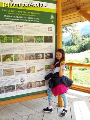 [P18] Panou informativ in zona cabanei Plaiul Foii » foto by nightwish
 - 
<span class="allrVoted glyphicon glyphicon-heart hidden" id="av1154672"></span>
<a class="m-l-10 hidden" id="sv1154672" onclick="voting_Foto_DelVot(,1154672,26250)" role="button">șterge vot <span class="glyphicon glyphicon-remove"></span></a>
<a id="v91154672" class=" c-red"  onclick="voting_Foto_SetVot(1154672)" role="button"><span class="glyphicon glyphicon-heart-empty"></span> <b>LIKE</b> = Votează poza</a> <img class="hidden"  id="f1154672W9" src="/imagini/loader.gif" border="0" /><span class="AjErrMes hidden" id="e1154672ErM"></span>