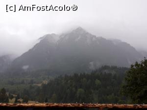 [P06] No comment :)  » foto by nightwish
 - 
<span class="allrVoted glyphicon glyphicon-heart hidden" id="av1154660"></span>
<a class="m-l-10 hidden" id="sv1154660" onclick="voting_Foto_DelVot(,1154660,26250)" role="button">șterge vot <span class="glyphicon glyphicon-remove"></span></a>
<a id="v91154660" class=" c-red"  onclick="voting_Foto_SetVot(1154660)" role="button"><span class="glyphicon glyphicon-heart-empty"></span> <b>LIKE</b> = Votează poza</a> <img class="hidden"  id="f1154660W9" src="/imagini/loader.gif" border="0" /><span class="AjErrMes hidden" id="e1154660ErM"></span>