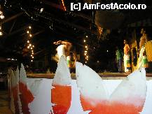 [P11] dans capoiera » foto by grecudoina
 - 
<span class="allrVoted glyphicon glyphicon-heart hidden" id="av292628"></span>
<a class="m-l-10 hidden" id="sv292628" onclick="voting_Foto_DelVot(,292628,26278)" role="button">șterge vot <span class="glyphicon glyphicon-remove"></span></a>
<a id="v9292628" class=" c-red"  onclick="voting_Foto_SetVot(292628)" role="button"><span class="glyphicon glyphicon-heart-empty"></span> <b>LIKE</b> = Votează poza</a> <img class="hidden"  id="f292628W9" src="/imagini/loader.gif" border="0" /><span class="AjErrMes hidden" id="e292628ErM"></span>